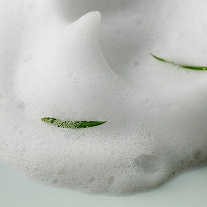 Some By Mi AHA BHA PHA 30 Days Miracle Acne Clear Foam